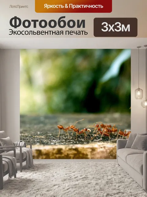 Фотообои Муравьи