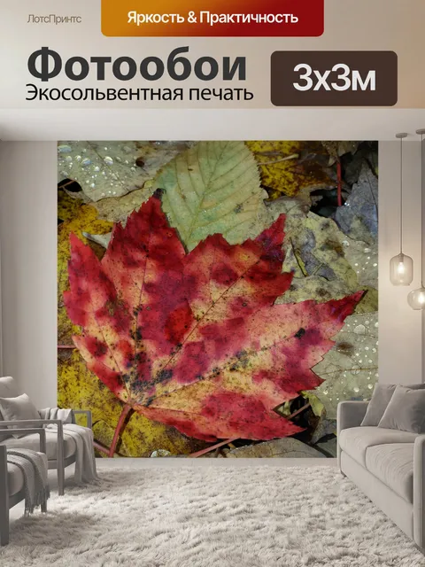 Фотообои Осенние листья и капли дождя