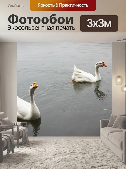 Фотообои Белый гусь