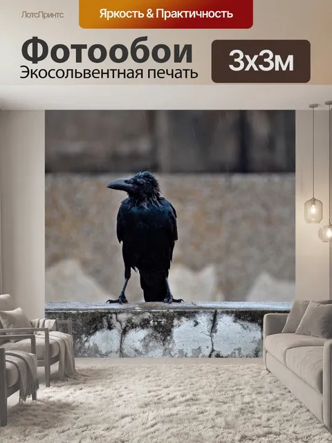 Фотообои Ворон