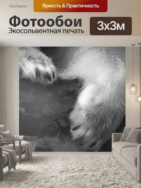 Фотообои Полярные медведи лапы