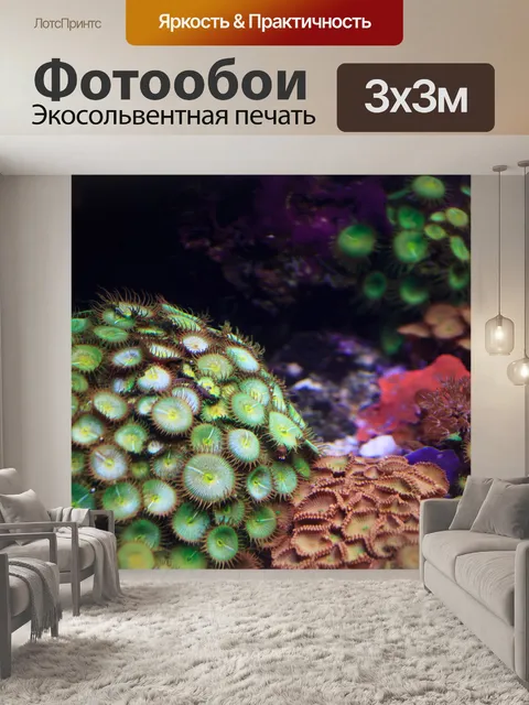 Фотообои анемоны