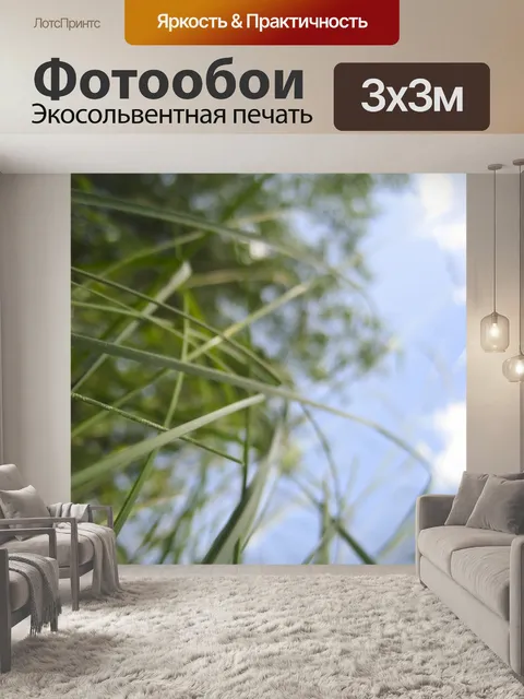Фотообои Зеленая трава Голубое небо