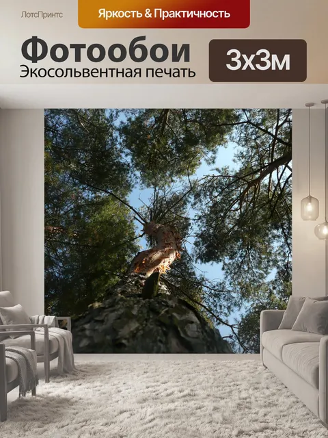 Фотообои дерева и голубое небо