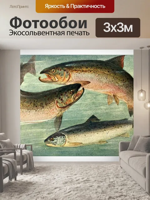 Фотообои Лосось пресноводная рыба винтажная рыба