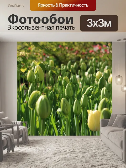 Фотообои Тюльпаны