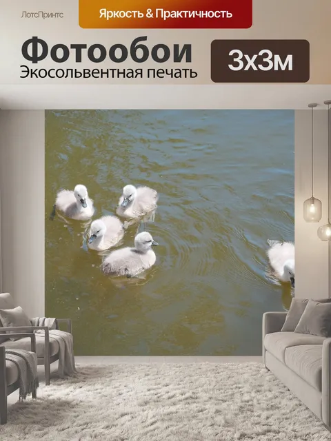 Фотообои Детские лебеди на воде