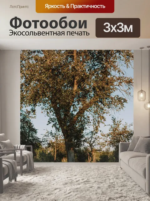 Фотообои Природа
