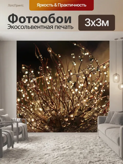 Фотообои Цветение капли дождя