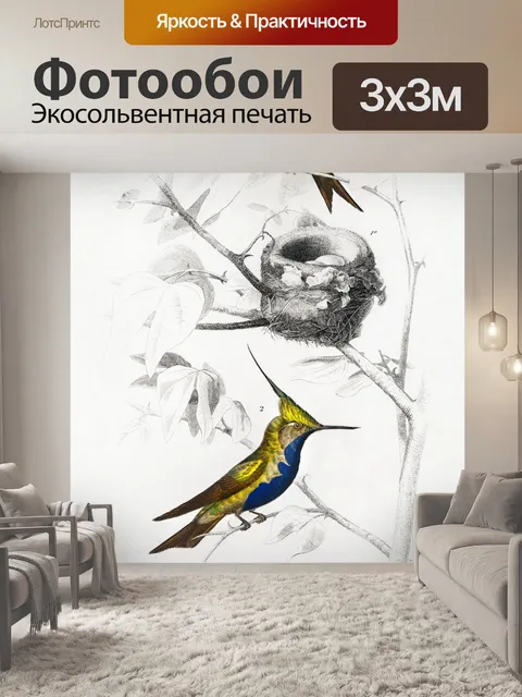 Фотообои Колибри птица старинное искусство