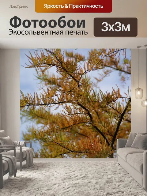 Фотообои Осенние краски