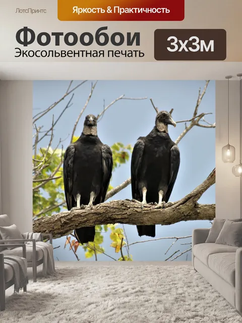 Фотообои Две черные канюки в дереве