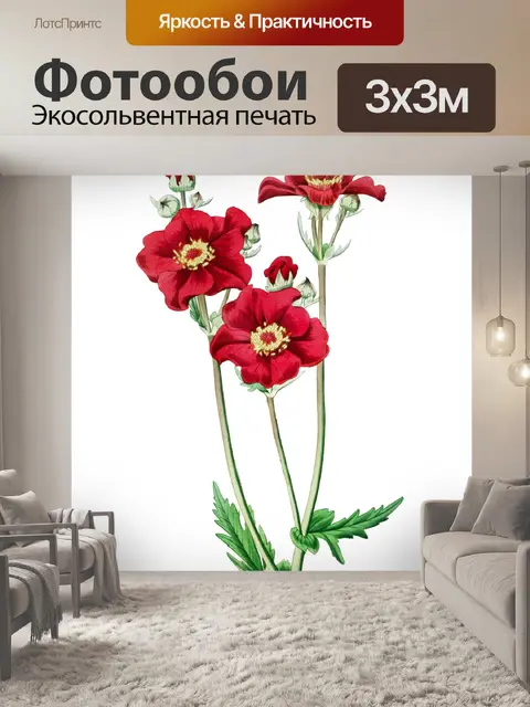Фотообои Клипарт Flower red vintage