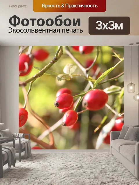 Фотообои Шиповник