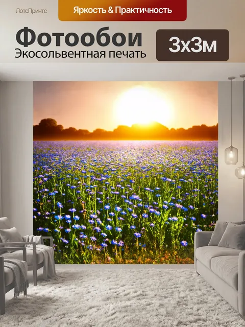 Фотообои мягкий свет вечернего солнца нежно освещает просторное поле васильков, создавая сказочную атмосферу