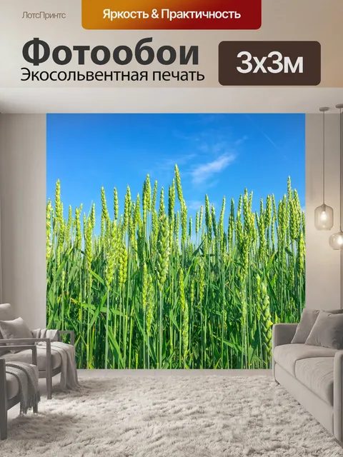 Фотообои Поле зеленого зерна