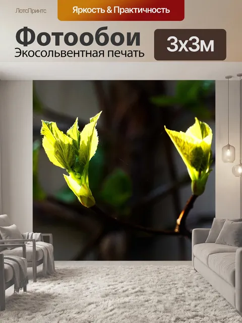 Фотообои Зеленый