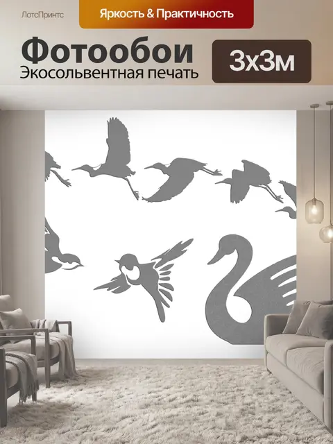 Фотообои красивые птицы для фотошопа