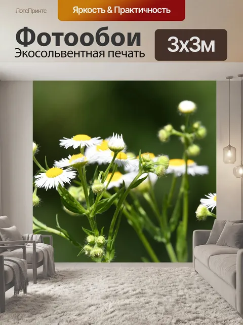 Фотообои Цветы