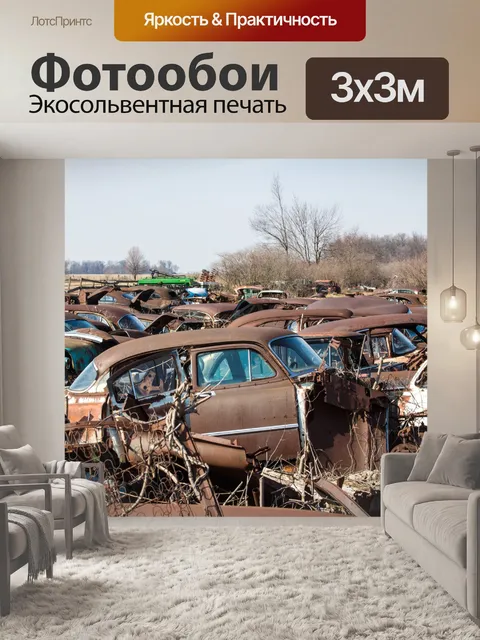 Фотообои Автомобильные кладбища
