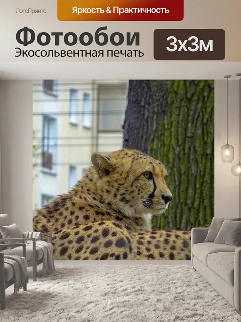 Фотообои Леопард