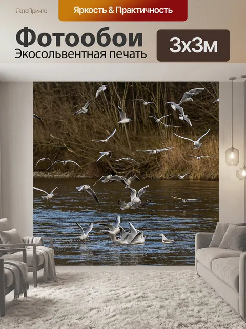 Фотообои Птица