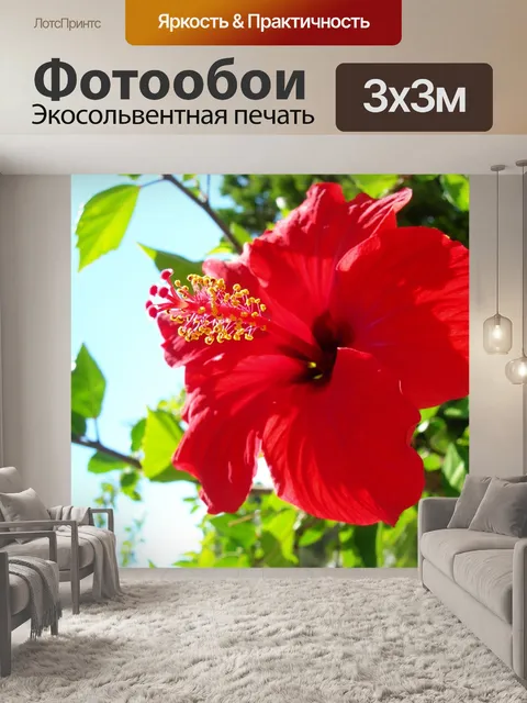 Фотообои Красный цветок