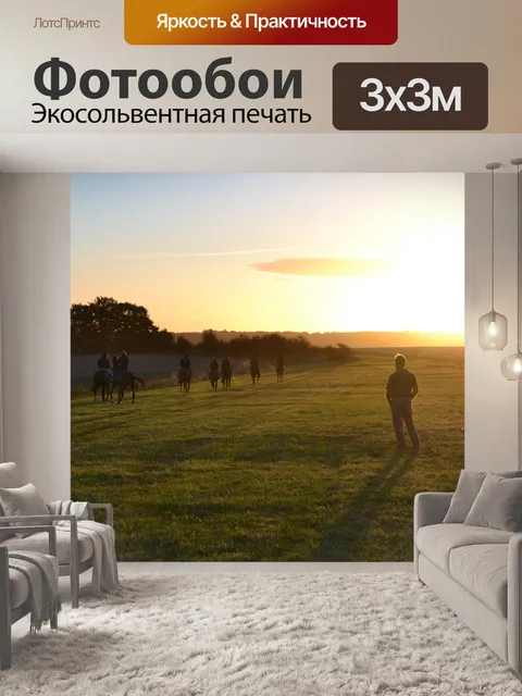Фотообои Скаковые лошади