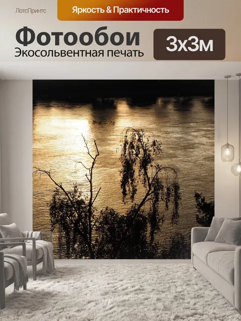 Фотообои Рейн