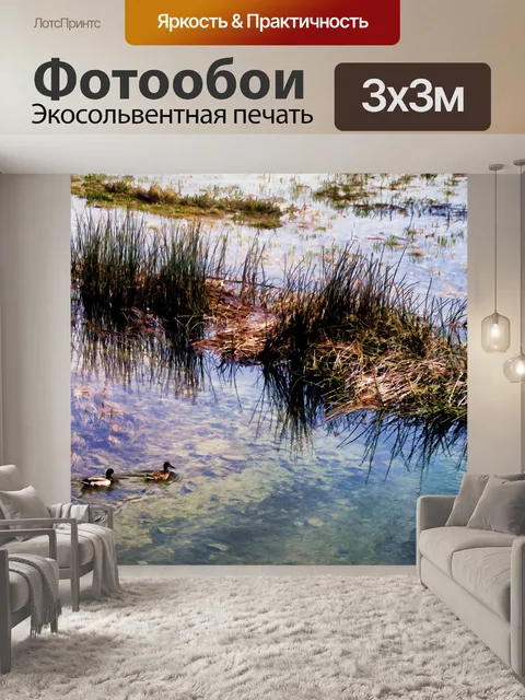 Фотообои Утки Маллард