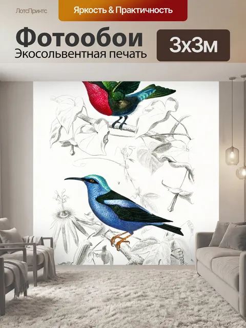 Фотообои Колибри птица старинное искусство