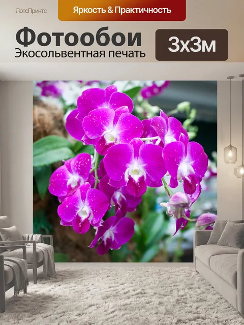 Фотообои цветок орхидеи в Сингапуре