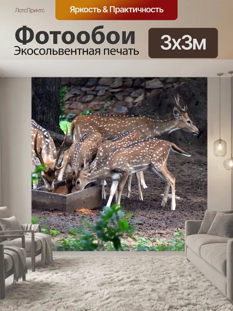 Фотообои Пятнистый олень 3