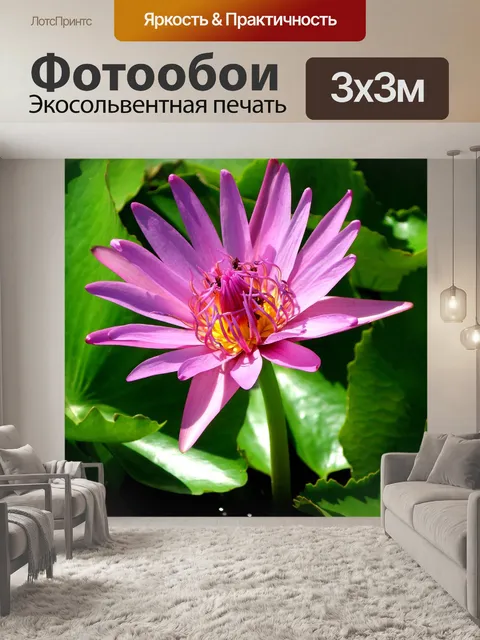 Фотообои Цветок