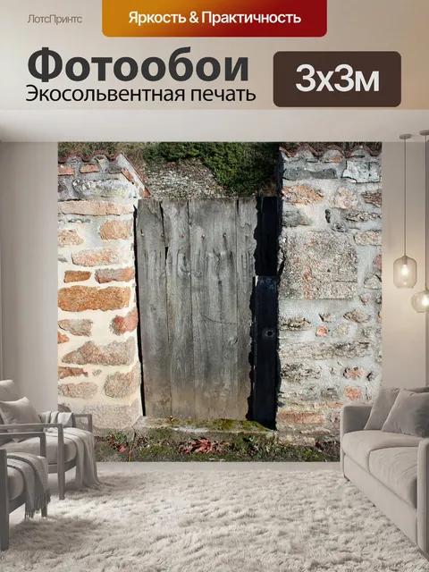 Фотообои Обшарпанная дверь