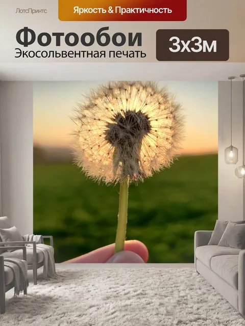 Фотообои Цветы