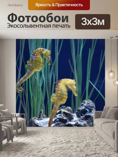 Фотообои Морской конек
