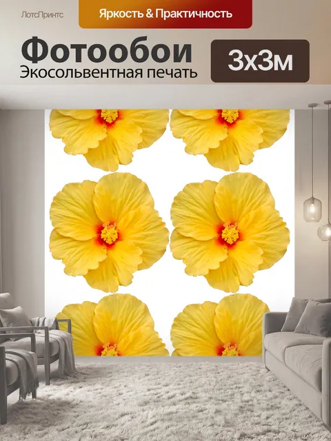 Фотообои Цветок гибискуса