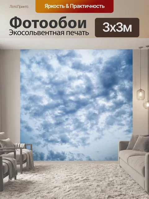 Фотообои рыхлое темное облако против неба