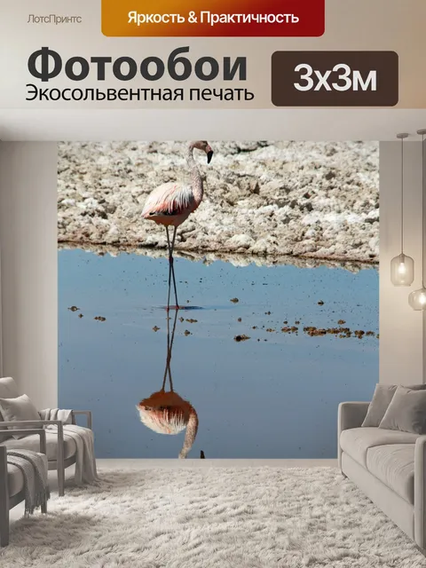Фотообои Фламинго
