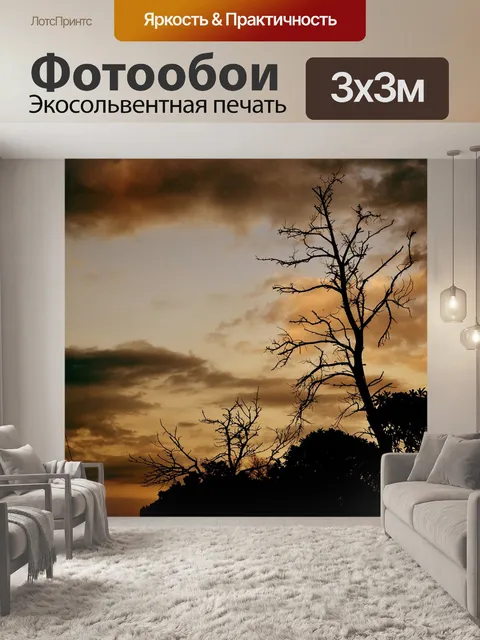 Фотообои Небо