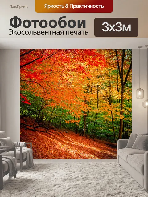 Фотообои осень, красные и оранжевые листья падают с деревьев, обновляющий воздух