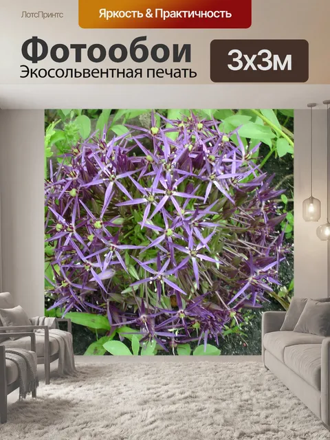 Фотообои Фиолетовый звезда Цветок
