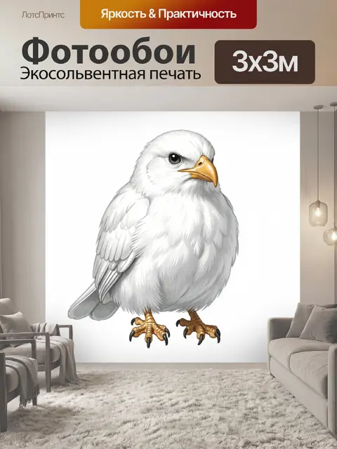 Фотообои Белая чайка с лапками на фоне