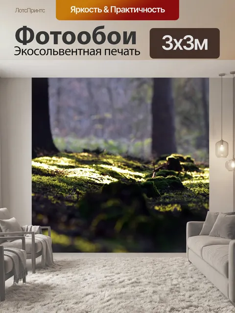 Фотообои Лес