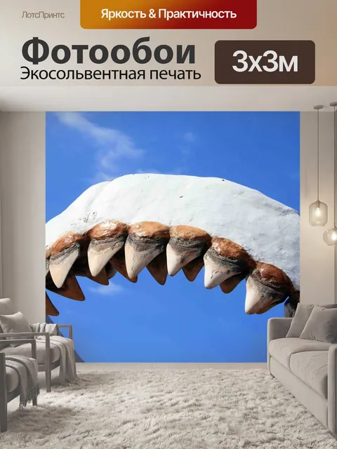 Фотообои челюсть, представляющий carcharadon