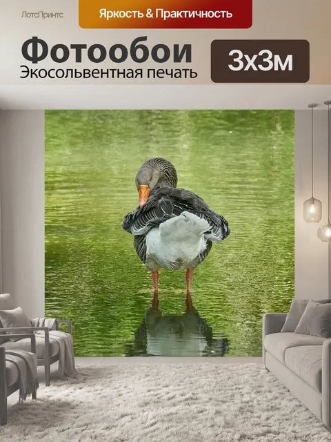 Фотообои Гусь