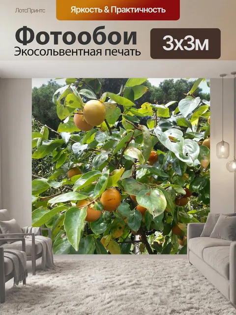 Фотообои Хурма