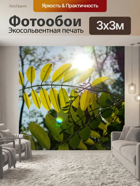Фотообои Саншайн