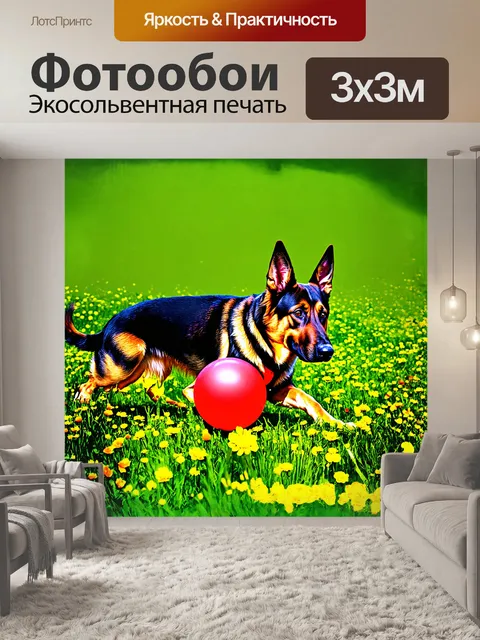 Фотообои немецкая овчарка играет с ярким красным мячом на фоне зелёного луга, где расцветают цветы